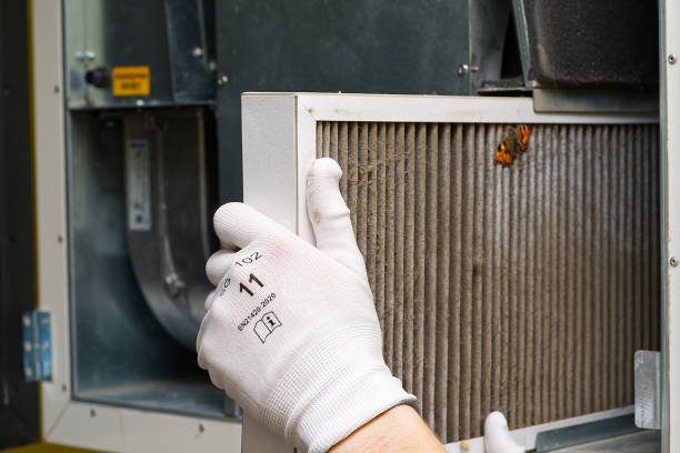 Best Duct Cleaning Specialists  in Lukachukai, AZ